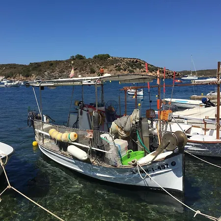 Driftwood Es Grau
